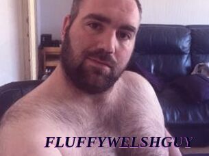 FLUFFYWELSHGUY