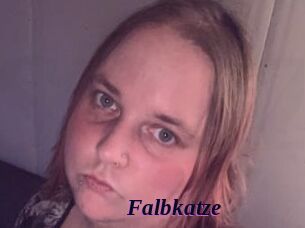 Falbkatze