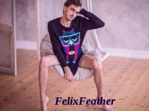 FelixFeather