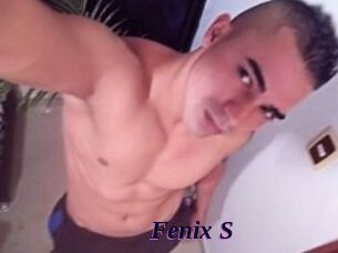 Fenix_S