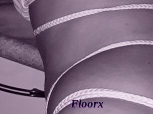 Floorx