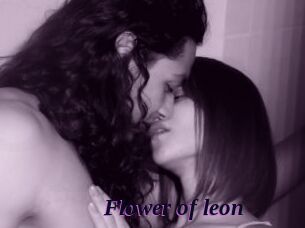 Flower_of_leon