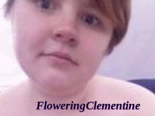 FloweringClementine