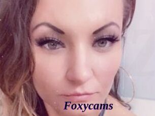 Foxycams