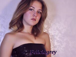 Feliciagrey