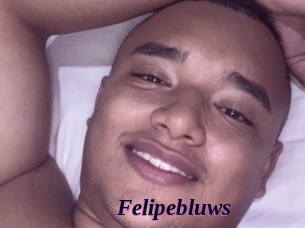 Felipebluws