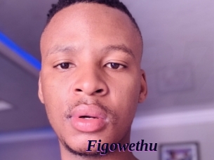 Figowethu