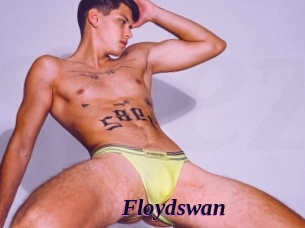 Floydswan