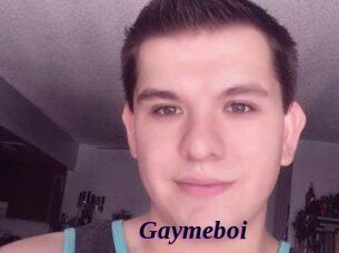 Gaymeboi