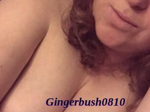 Gingerbush0810