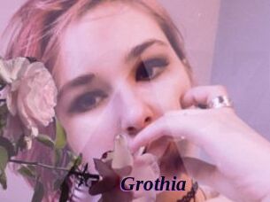 Grothia