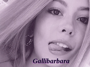 Gallibarbara