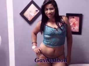 Gaviotahott