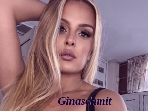 Ginaschmit