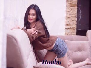 Haabu