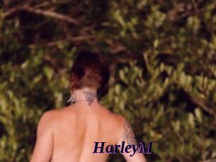 HarleyM