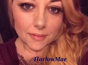 HarlowMae