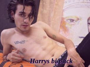 Harrys_bigstick