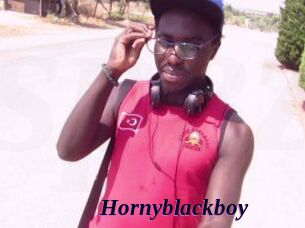 Hornyblackboy