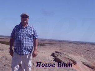 House_Bitch