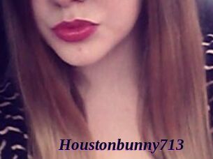 Houstonbunny713