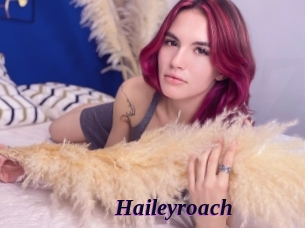 Haileyroach