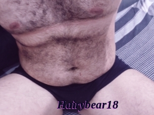 Hairybear18