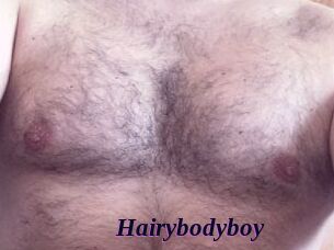 Hairybodyboy