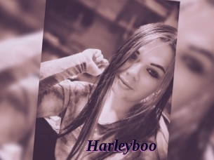 Harleyboo