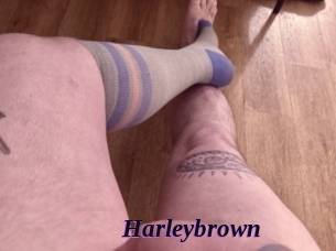 Harleybrown