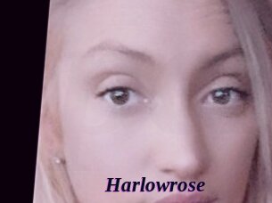 Harlowrose