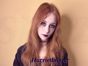 Harrietbigger