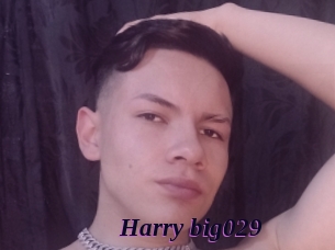 Harry_big029