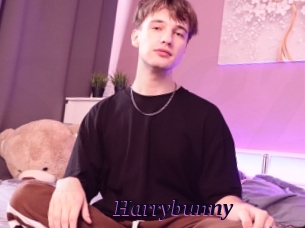 Harrybunny