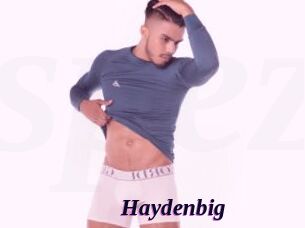 Haydenbig