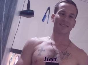 Hect