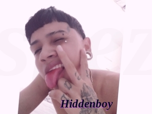 Hiddenboy