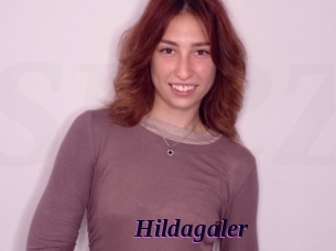 Hildagaler