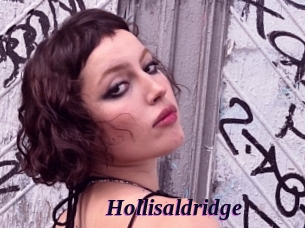 Hollisaldridge