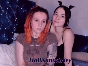 Hollisandsibley