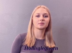 Hollisgleghorn