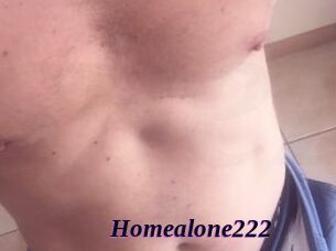 Homealone222