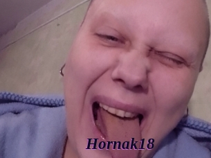 Hornak18