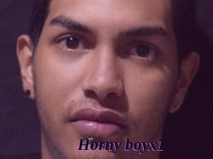 horny_boyx1 Spezial Sexcam