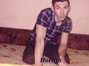 Hornyb