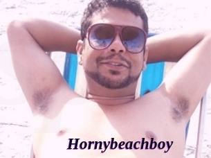 Hornybeachboy