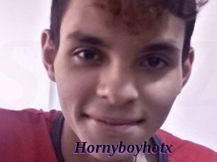 Hornyboyhotx