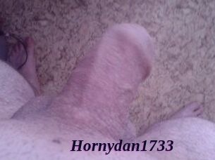 Hornydan1733