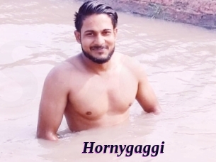 Hornygaggi