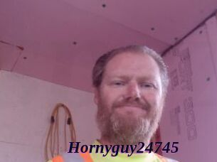 Hornyguy24745